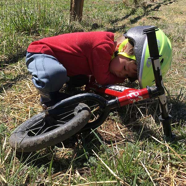 napping outside next to Strider bike