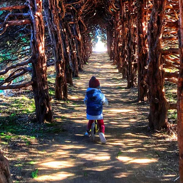 Child on Strider bike rides through cool trees